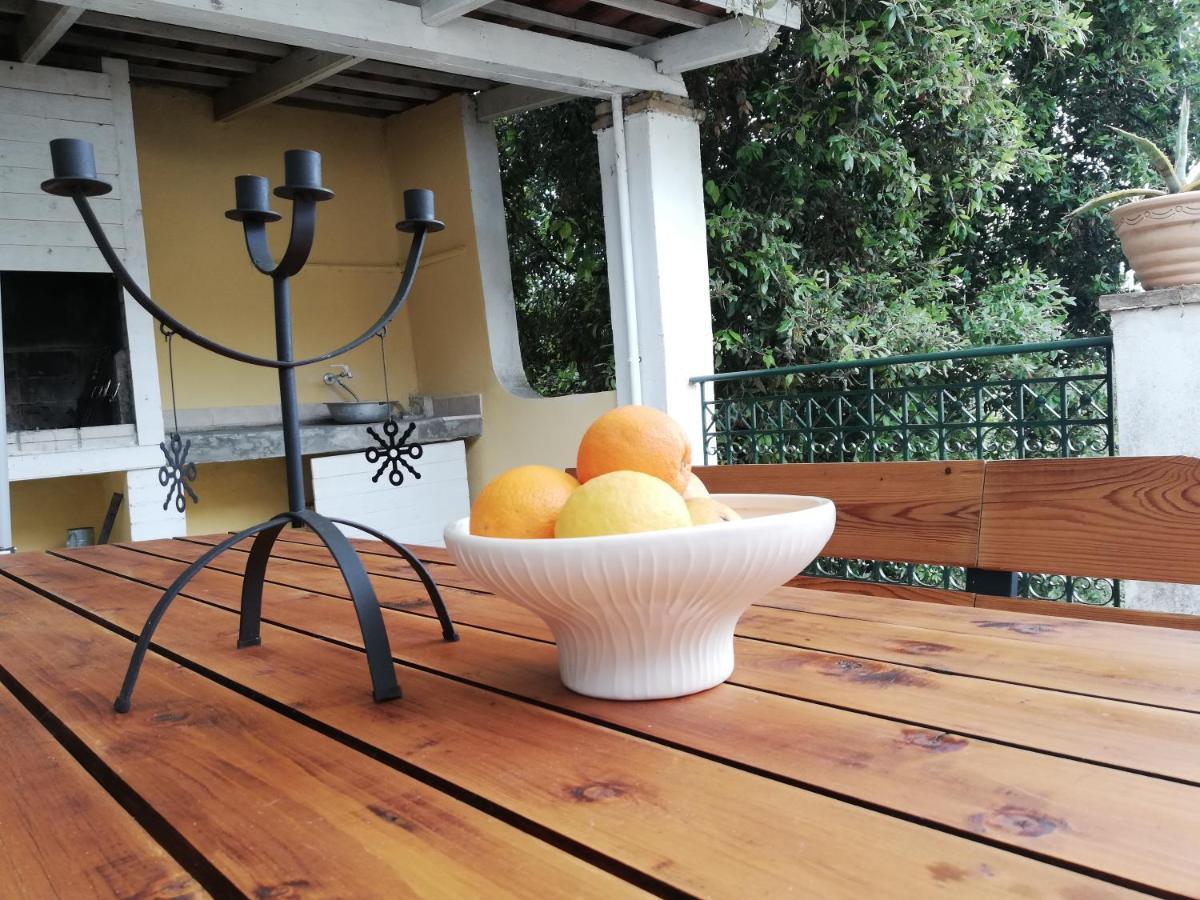 Olea Home Agia Pelagia Chlomou Exteriér fotografie