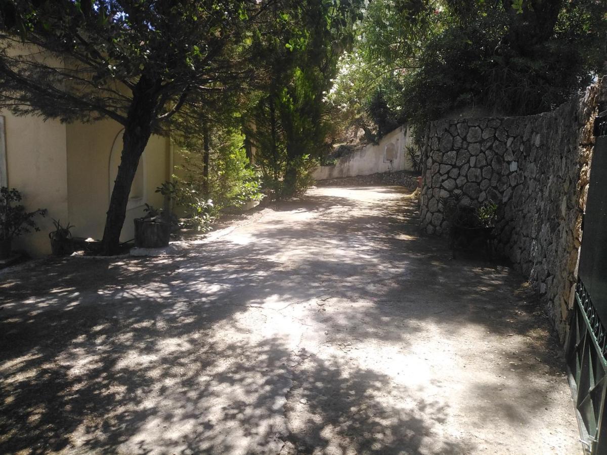 Olea Home Agia Pelagia Chlomou Exteriér fotografie