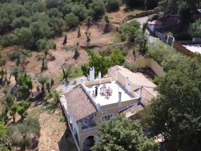 Olea Home Agia Pelagia Chlomou Exteriér fotografie